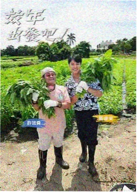 三零电影网饮食指南 盐烤秋刀鱼